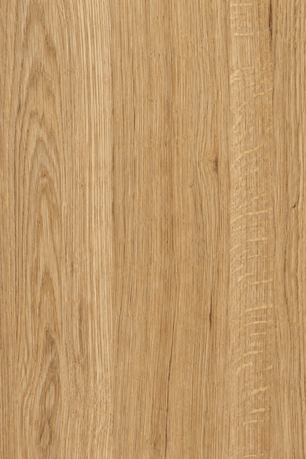 Illustrative timber grain study