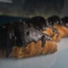 Croissant aux amandes